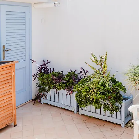 Casa vacanze Maison Cirì Forte dei Marmi
